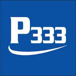 P333 Game